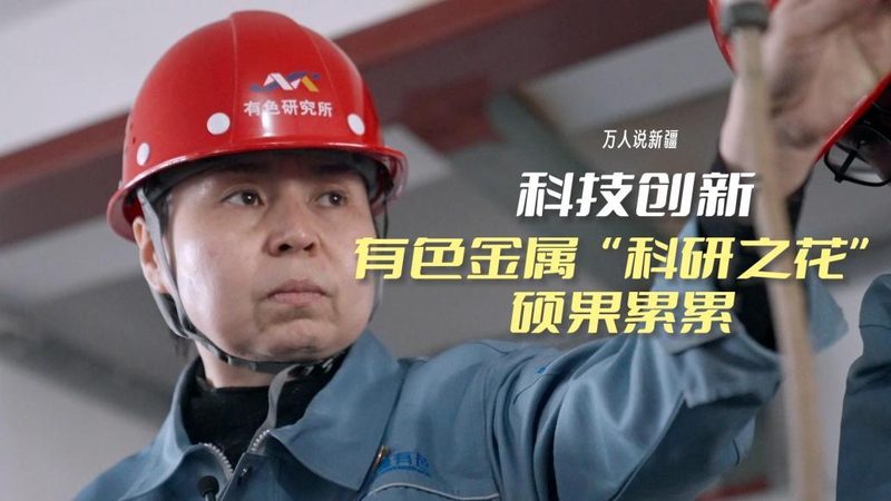 大数据分析系统规格分类：揭秘高效数据处理的关键**